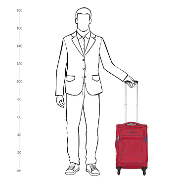 Чемодан малый Р18А01 (2-ой) (19")
