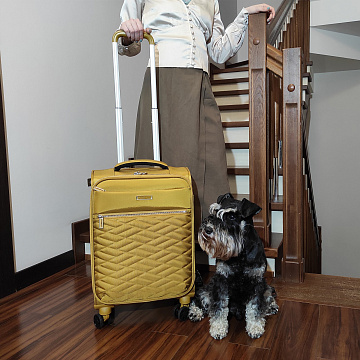 Чемодан малый Р2007 (3-ой) 19"