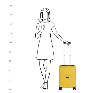 Чемодан PP малый РР819 (2-ой) 20"