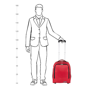 Сумка-рюкзак на колесах П7102