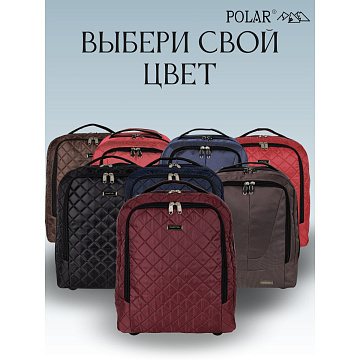 Сумка-рюкзак на колесах П7102н