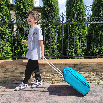 Чемодан малый Р1916  (20")