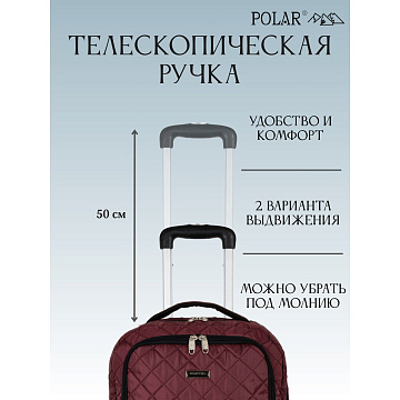 Сумка-рюкзак на колесах П7102н